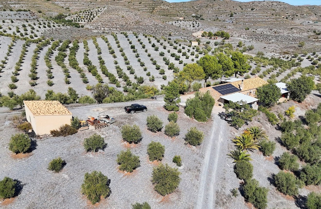 Reventa - Country House -
Zarzalico