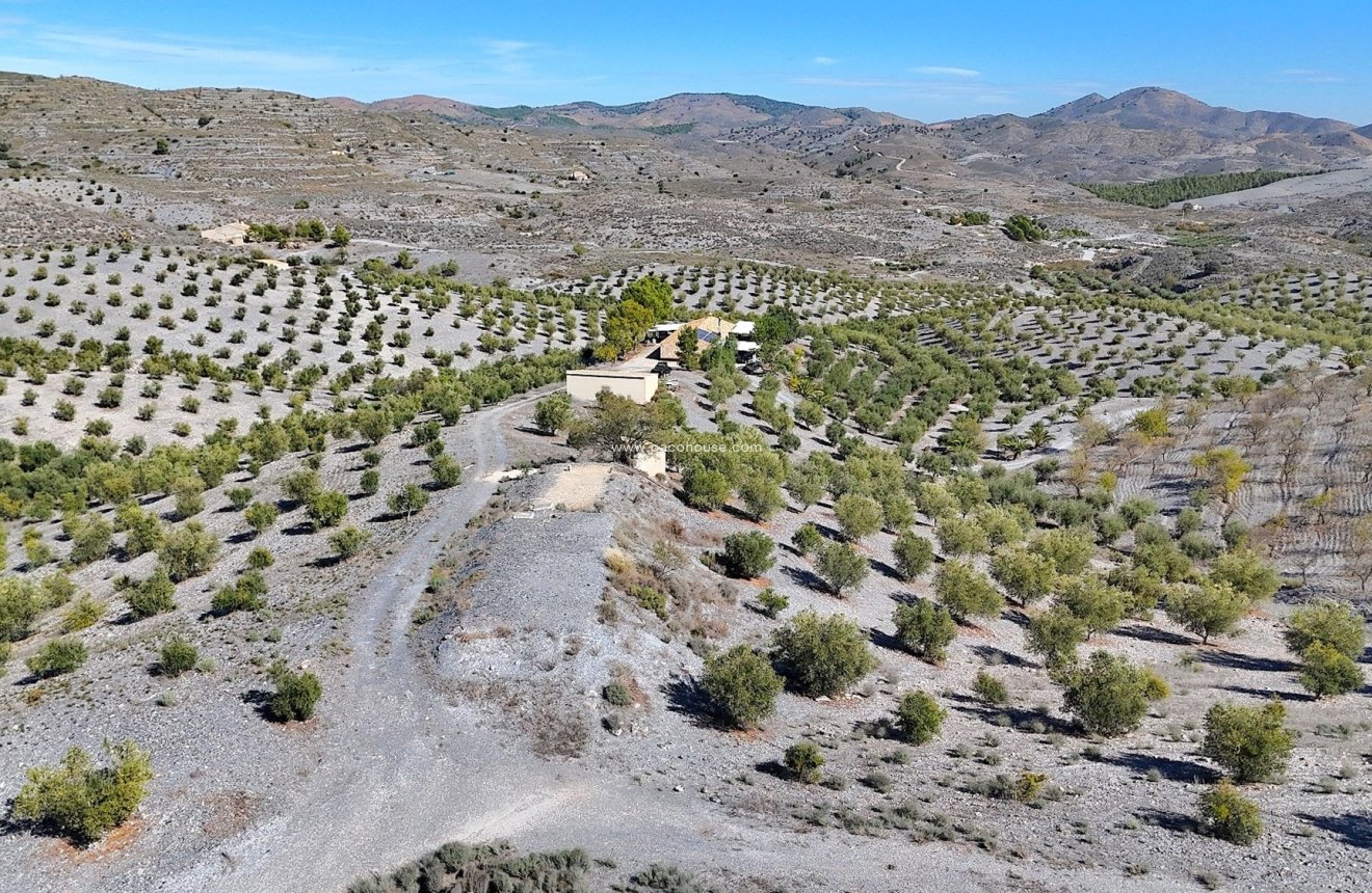 Reventa - Country House -
Zarzalico