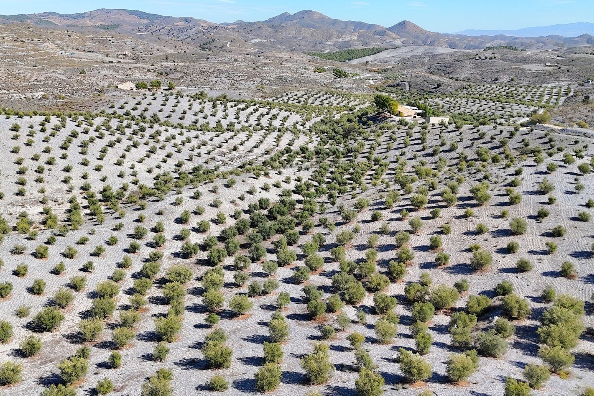 Reventa - Country House -
Zarzalico