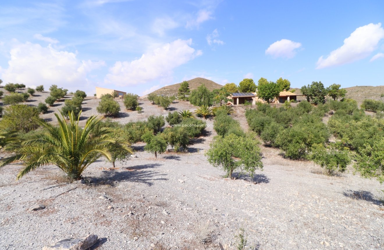 Reventa - Country House -
Zarzalico