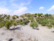 Reventa - Country House -
Zarzalico