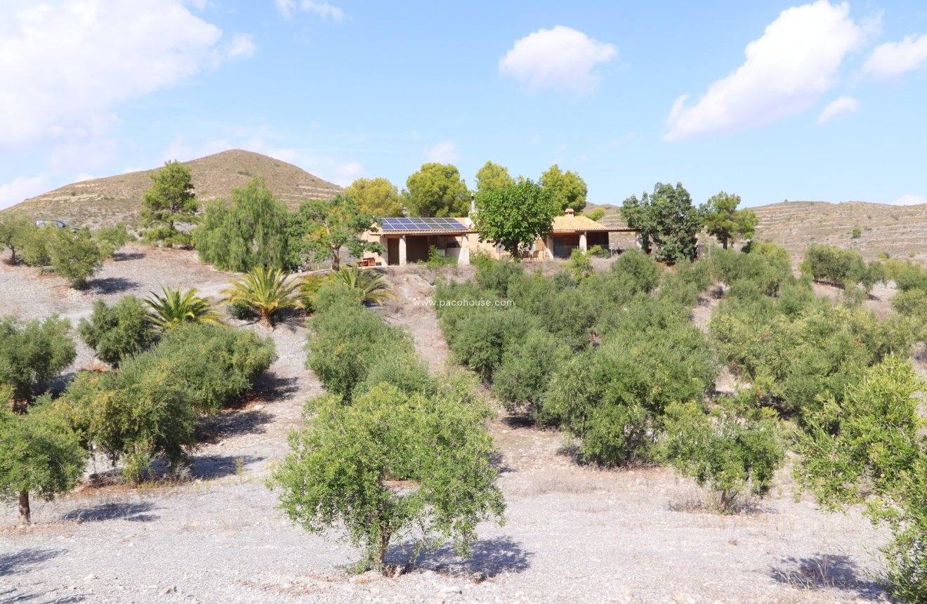 Reventa - Country House -
Zarzalico