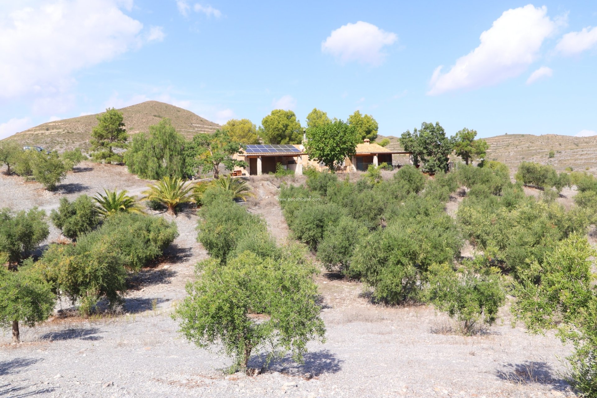 Reventa - Country House -
Zarzalico