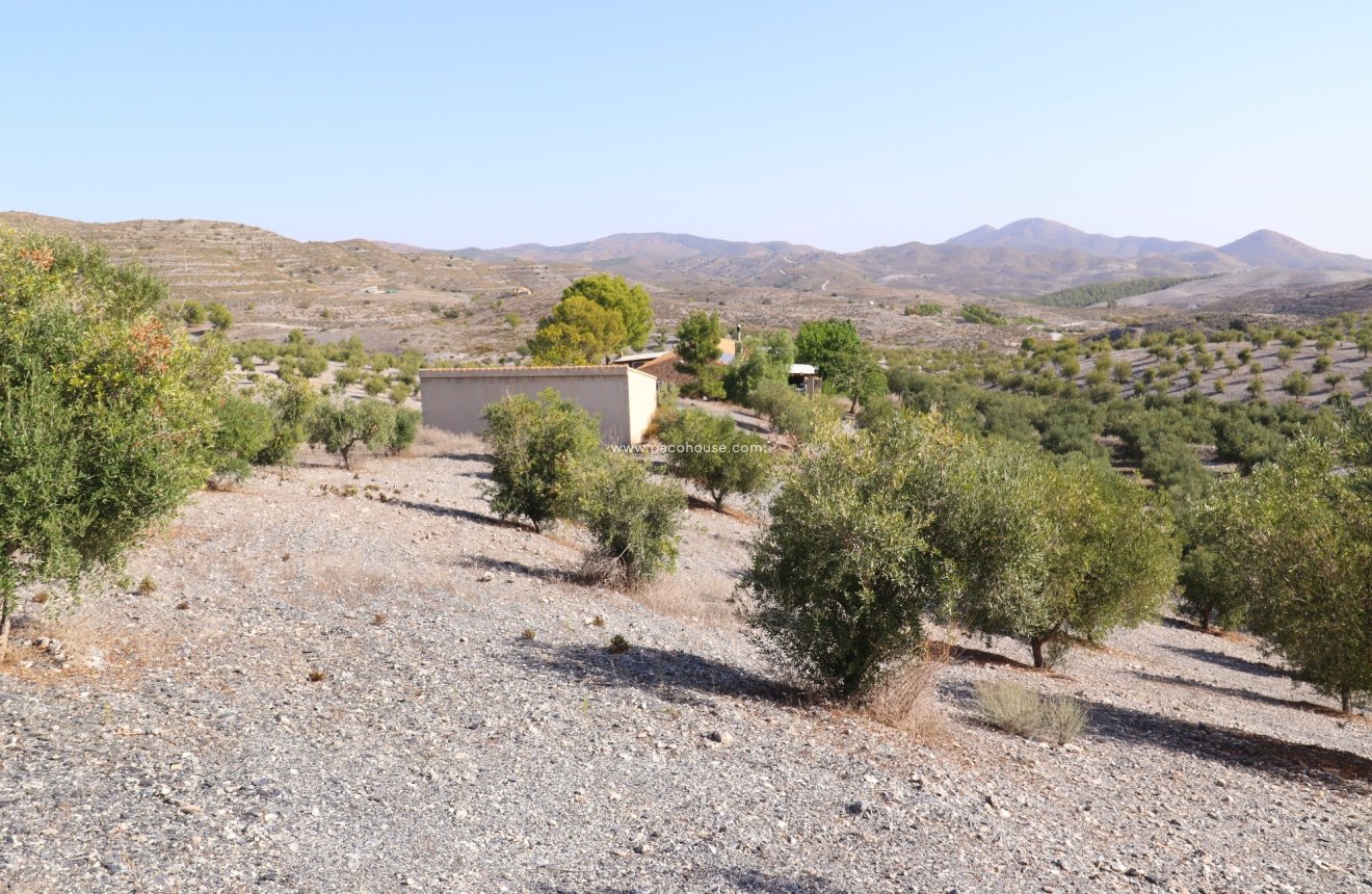 Reventa - Country House -
Zarzalico