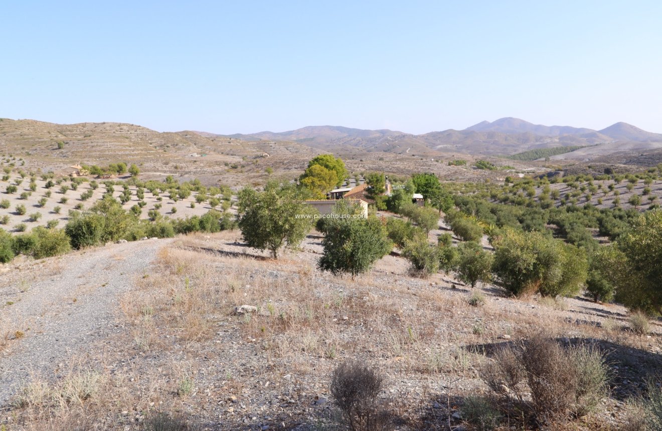 Reventa - Country House -
Zarzalico