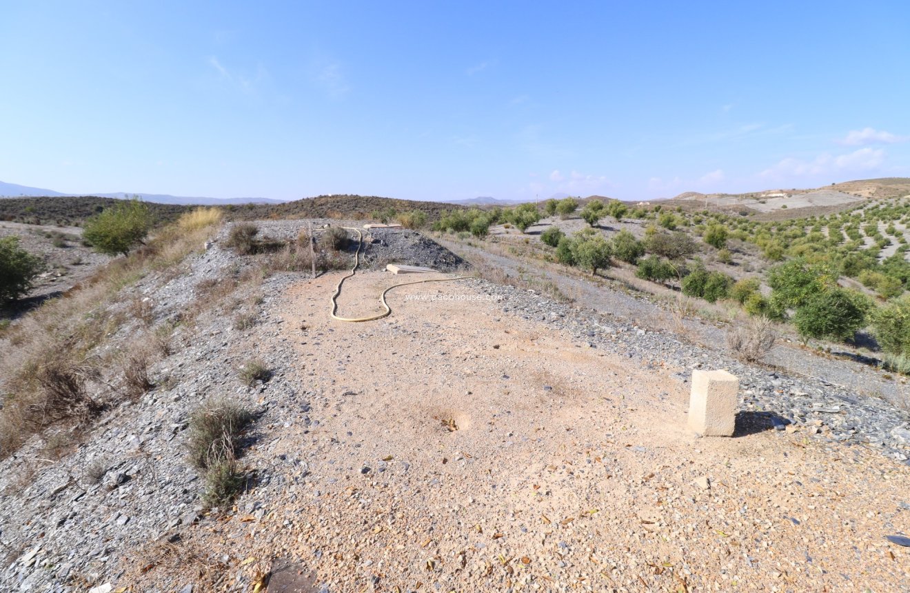 Reventa - Country House -
Zarzalico