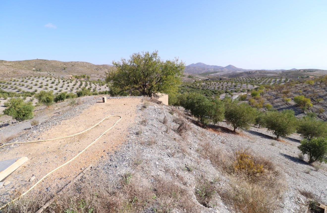 Reventa - Country House -
Zarzalico