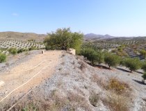 Reventa - Country House -
Zarzalico