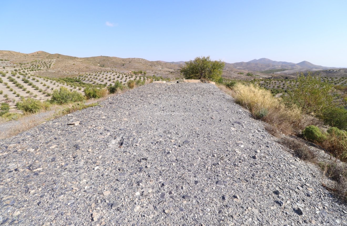 Reventa - Country House -
Zarzalico