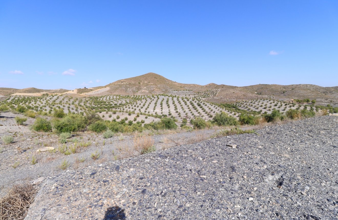 Reventa - Country House -
Zarzalico