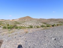 Reventa - Country House -
Zarzalico