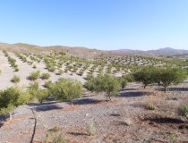 Reventa - Country House -
Zarzalico