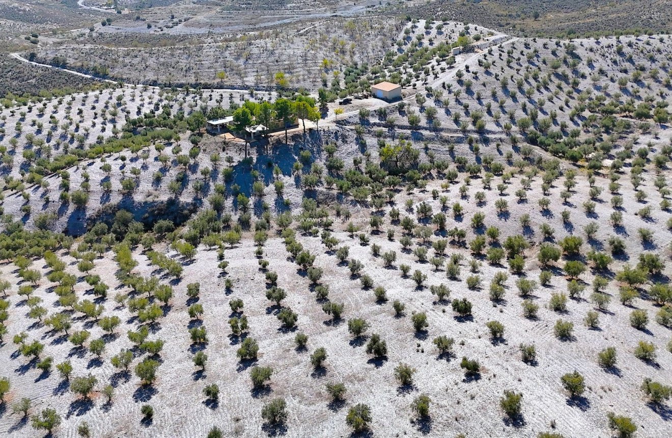 Reventa - Country House -
Zarzalico