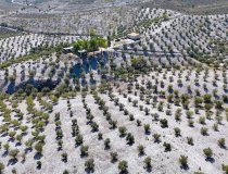 Reventa - Country House -
Zarzalico