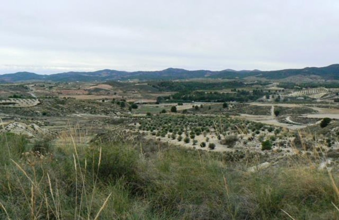 Reventa - Parcela / Terreno -
La Parroquia