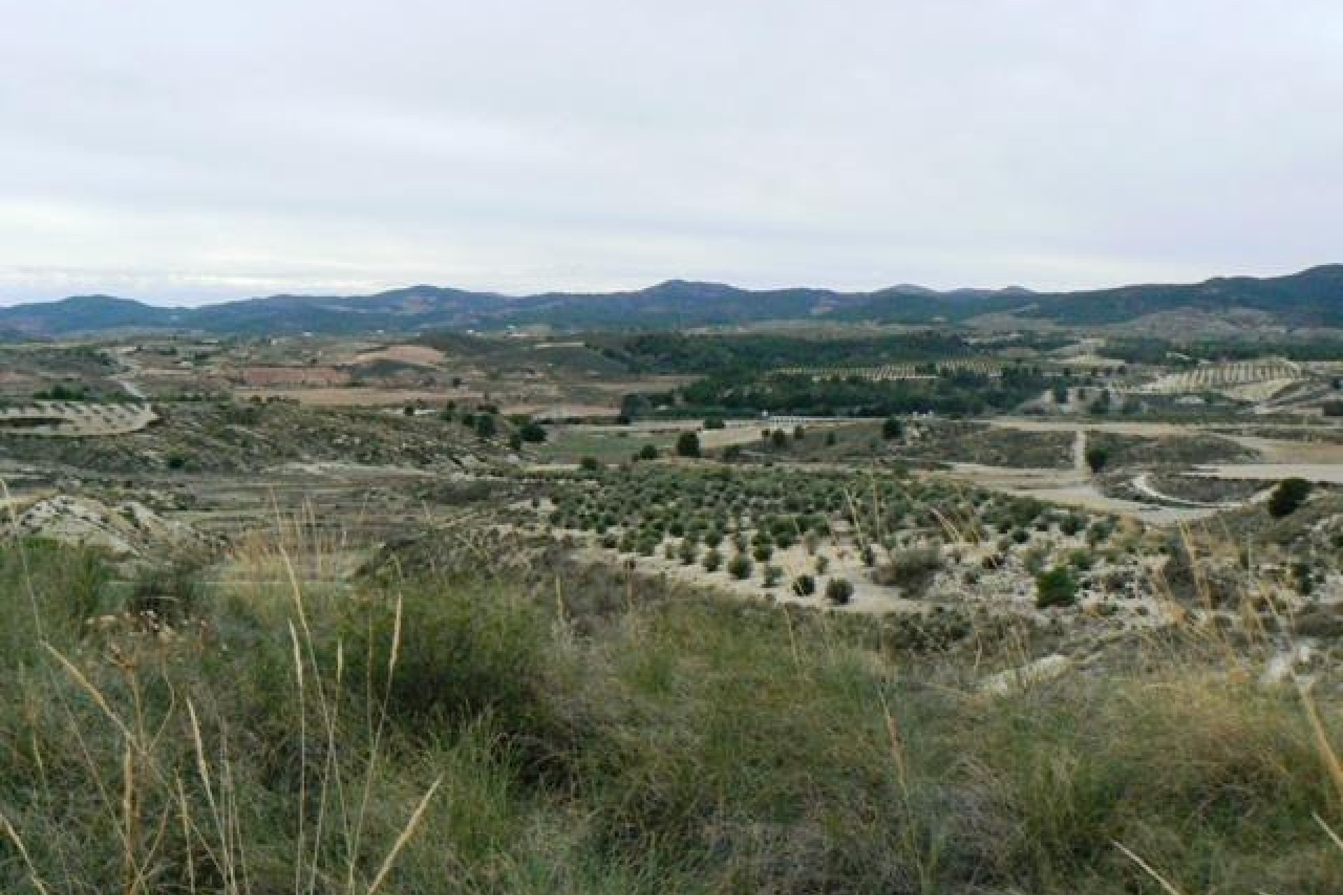 Reventa - Parcela / Terreno -
La Parroquia