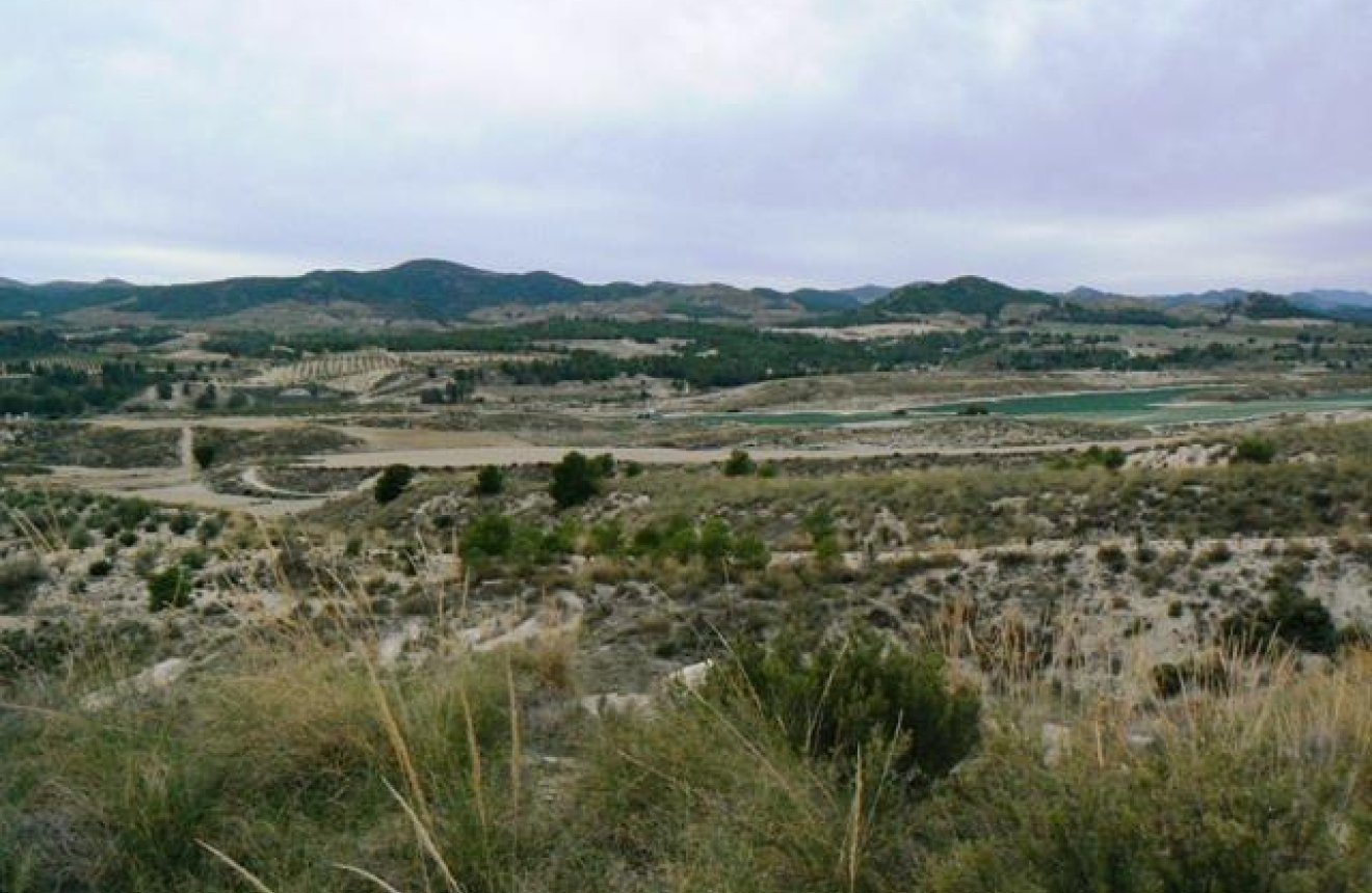 Reventa - Parcela / Terreno -
La Parroquia