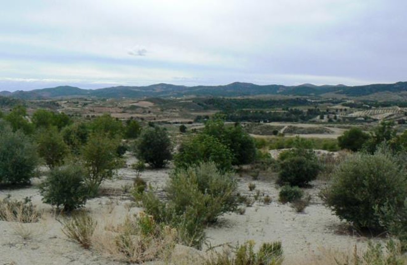 Reventa - Parcela / Terreno -
La Parroquia