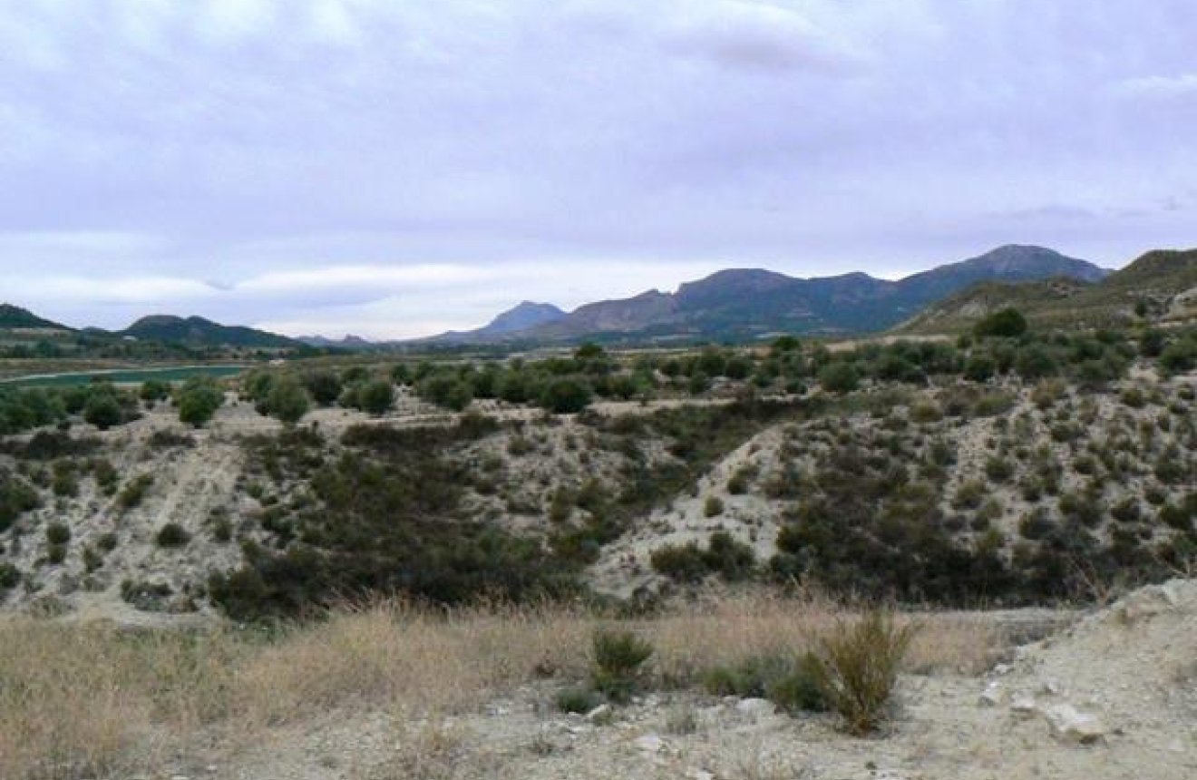 Reventa - Parcela / Terreno -
La Parroquia