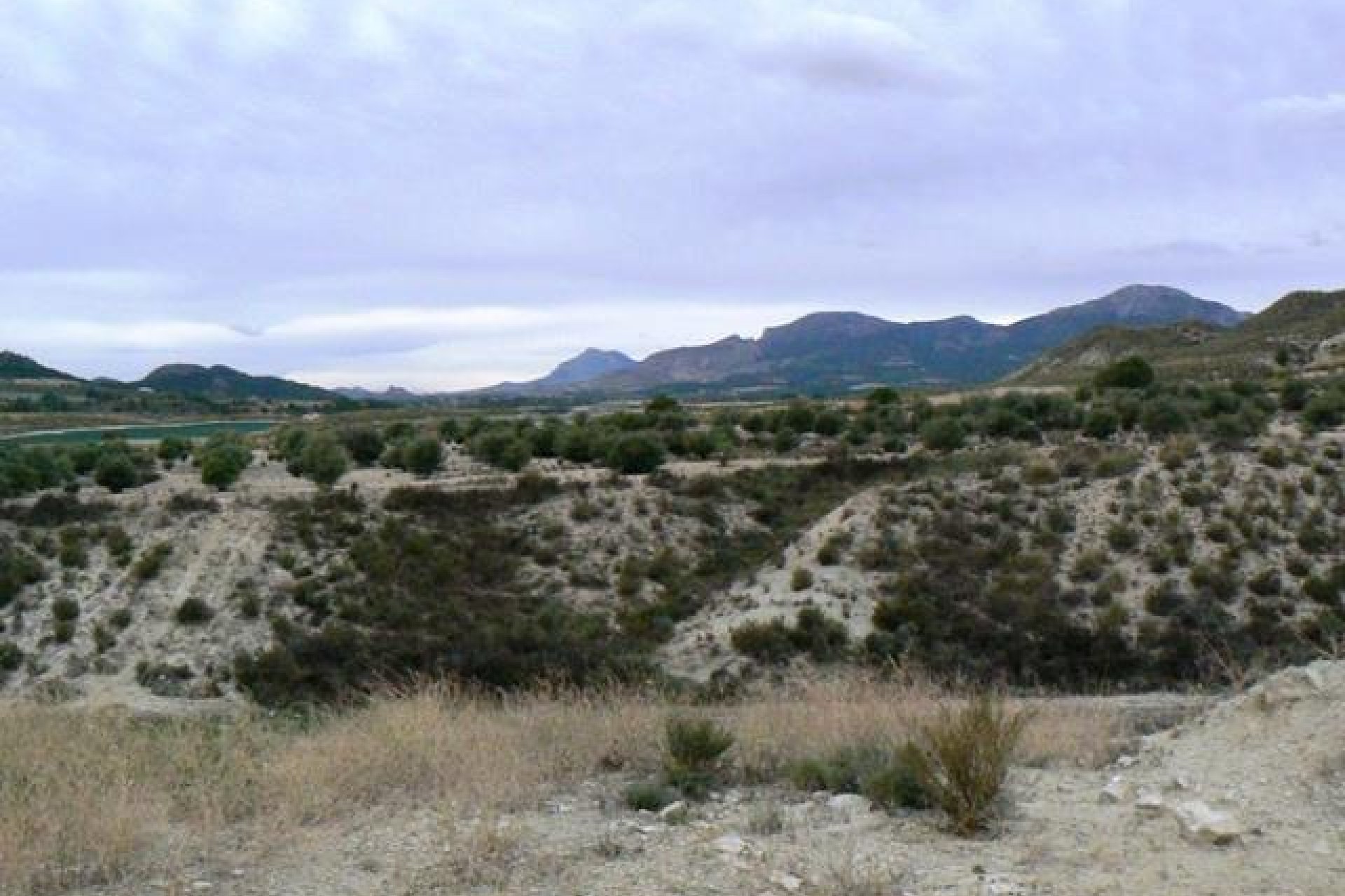 Reventa - Parcela / Terreno -
La Parroquia