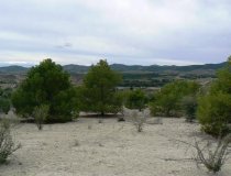 Reventa - Parcela / Terreno -
La Parroquia