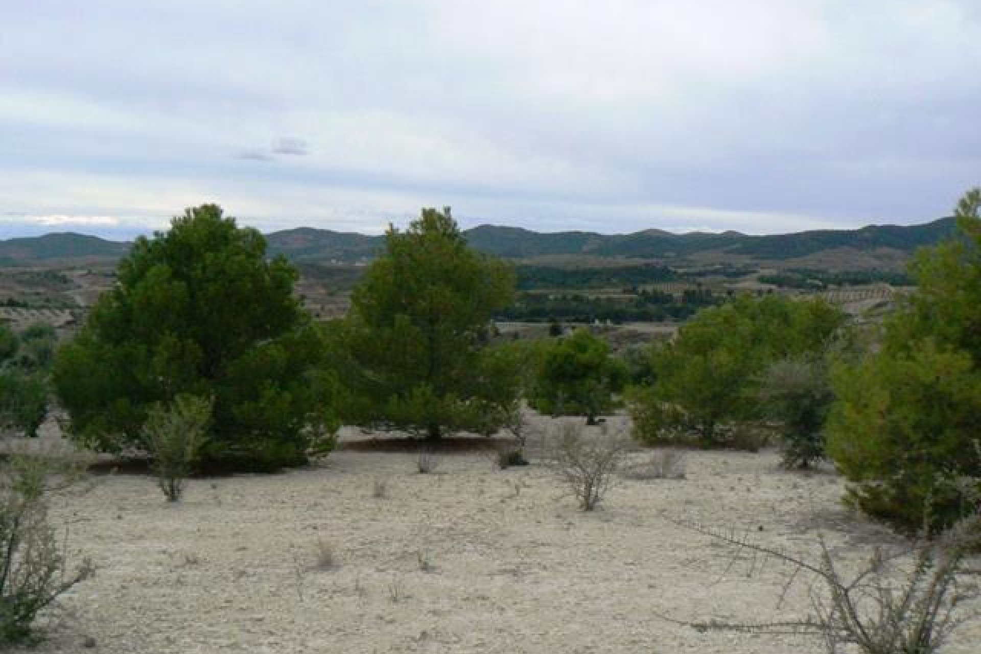 Reventa - Parcela / Terreno -
La Parroquia