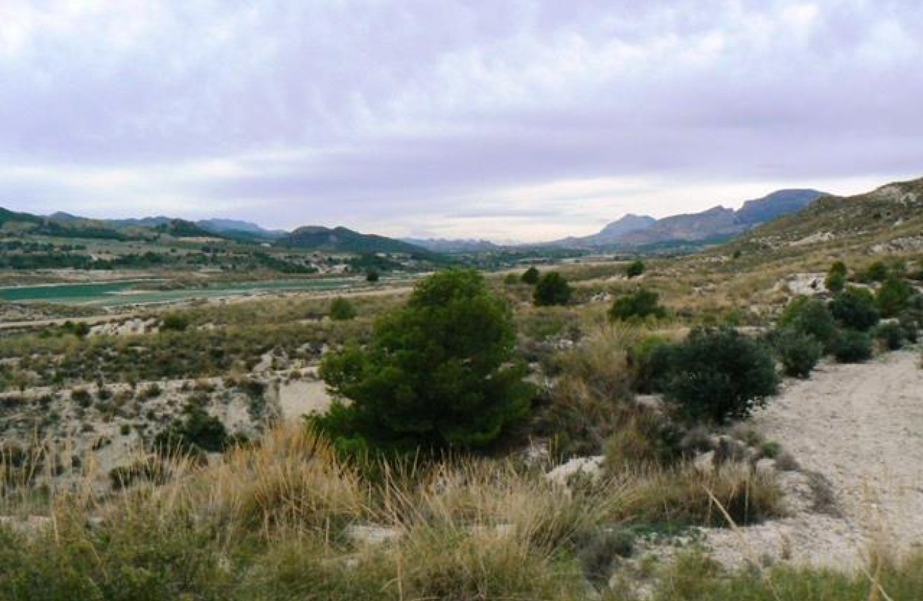 Reventa - Parcela / Terreno -
La Parroquia