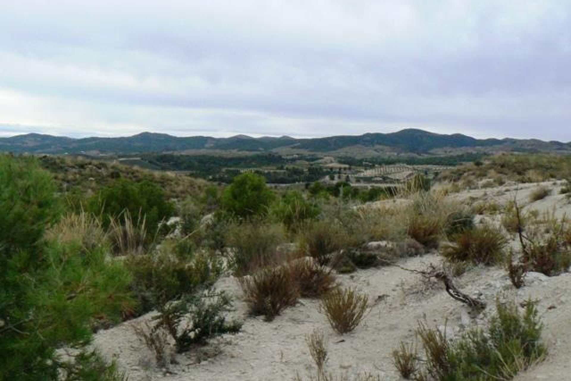 Reventa - Parcela / Terreno -
La Parroquia