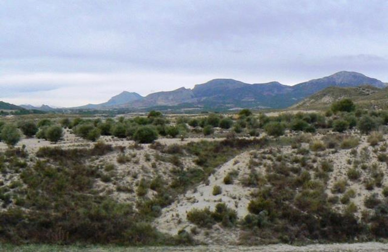 Reventa - Parcela / Terreno -
La Parroquia