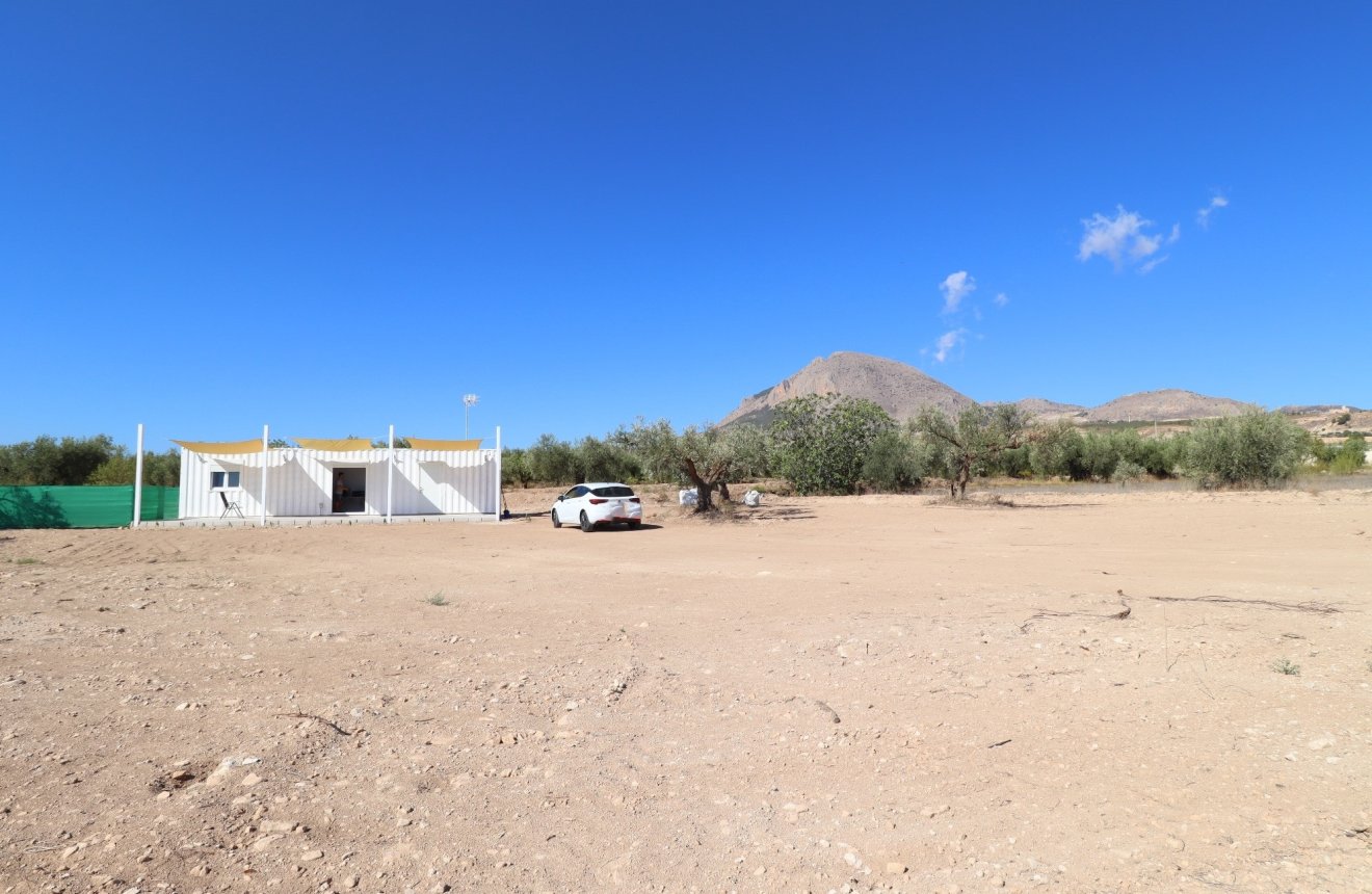 Reventa - Parcela / Terreno -
Velez-Blanco