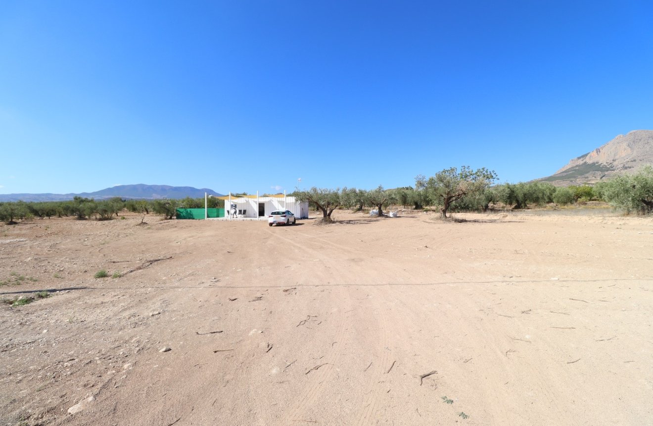 Reventa - Parcela / Terreno -
Velez-Blanco