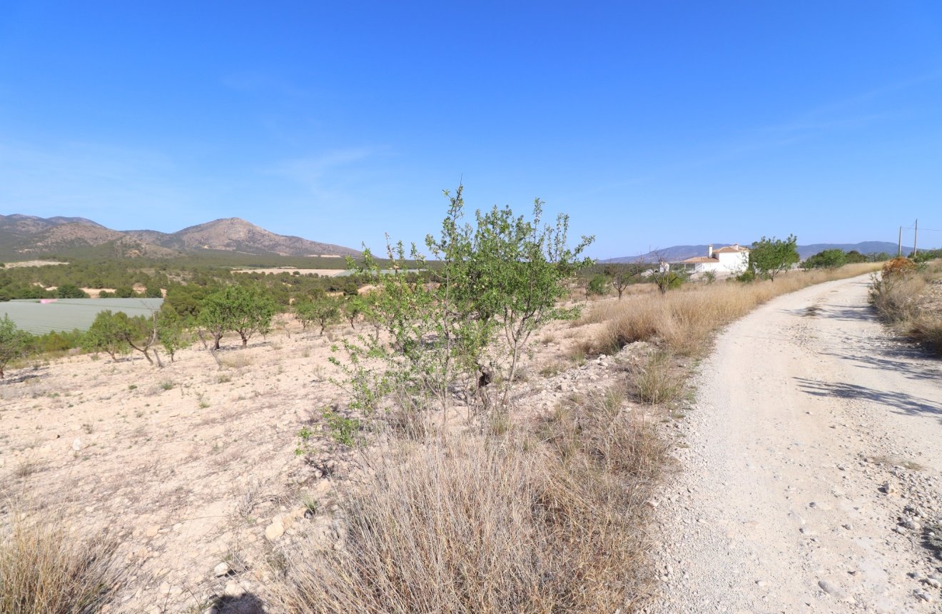 Reventa - Parcela / Terreno -
Zarzadilla De Totana