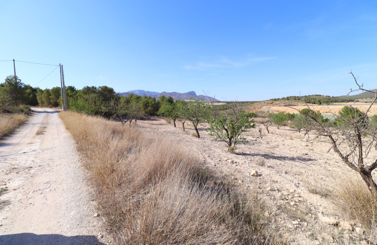Reventa - Parcela / Terreno -
Zarzadilla De Totana