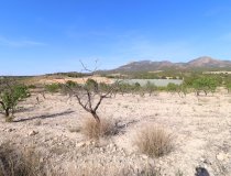 Reventa - Parcela / Terreno -
Zarzadilla De Totana