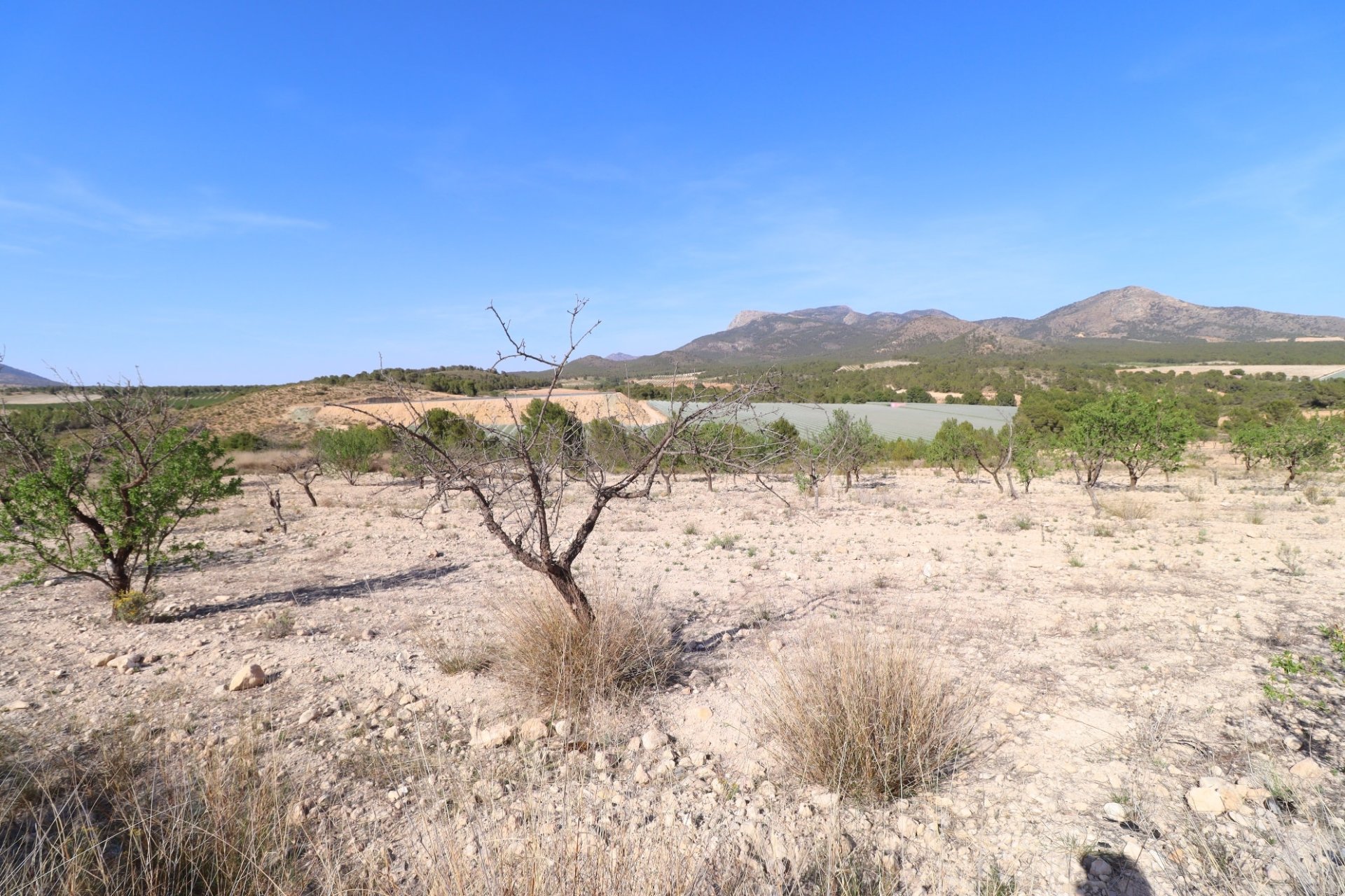 Reventa - Parcela / Terreno -
Zarzadilla De Totana