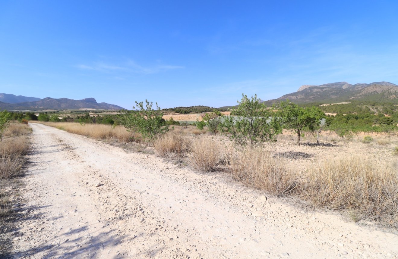 Reventa - Parcela / Terreno -
Zarzadilla De Totana