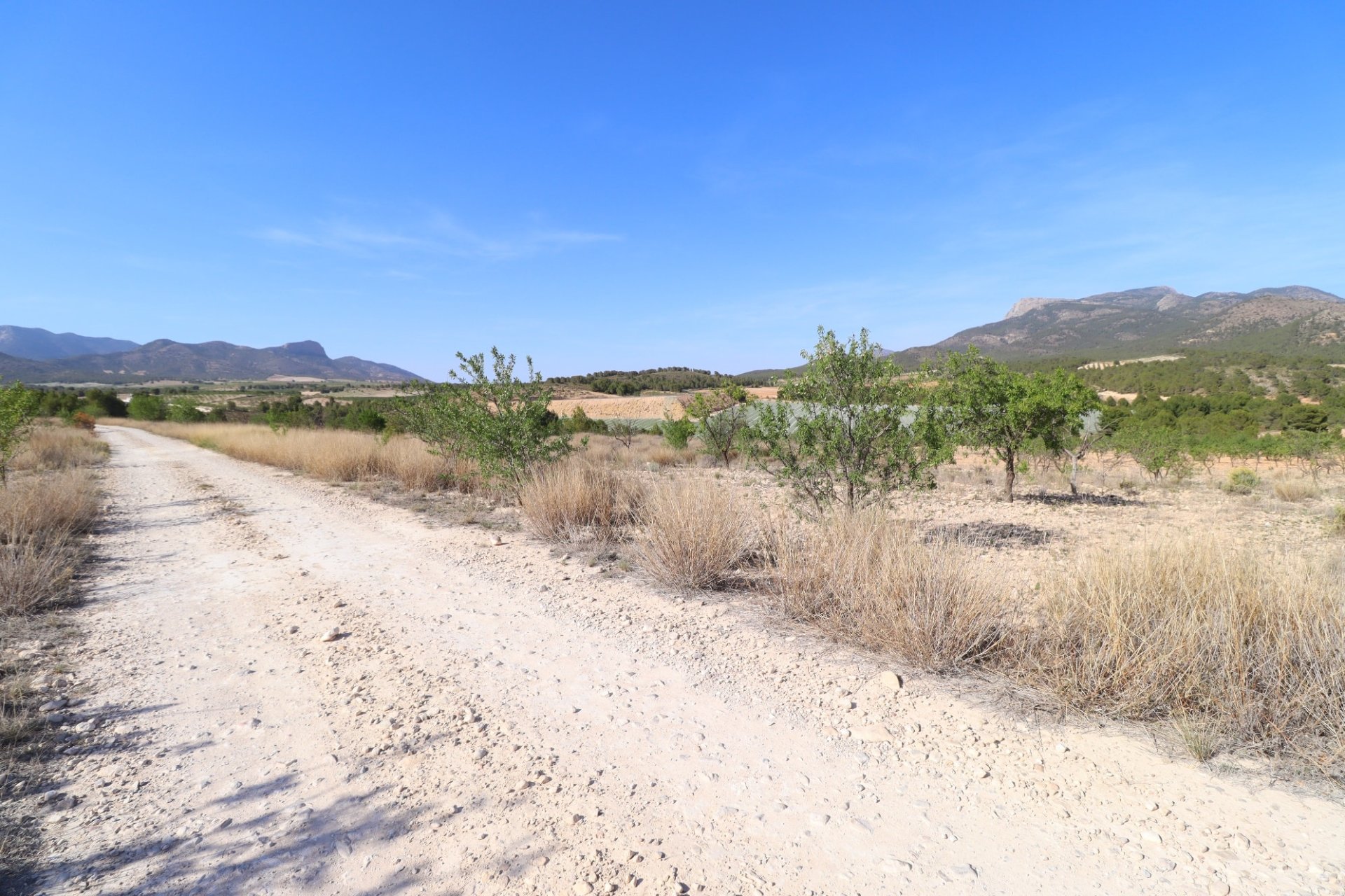 Reventa - Parcela / Terreno -
Zarzadilla De Totana