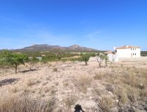 Reventa - Parcela / Terreno -
Zarzadilla De Totana