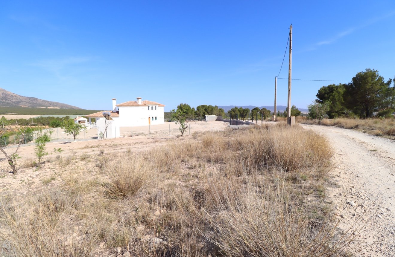 Reventa - Parcela / Terreno -
Zarzadilla De Totana