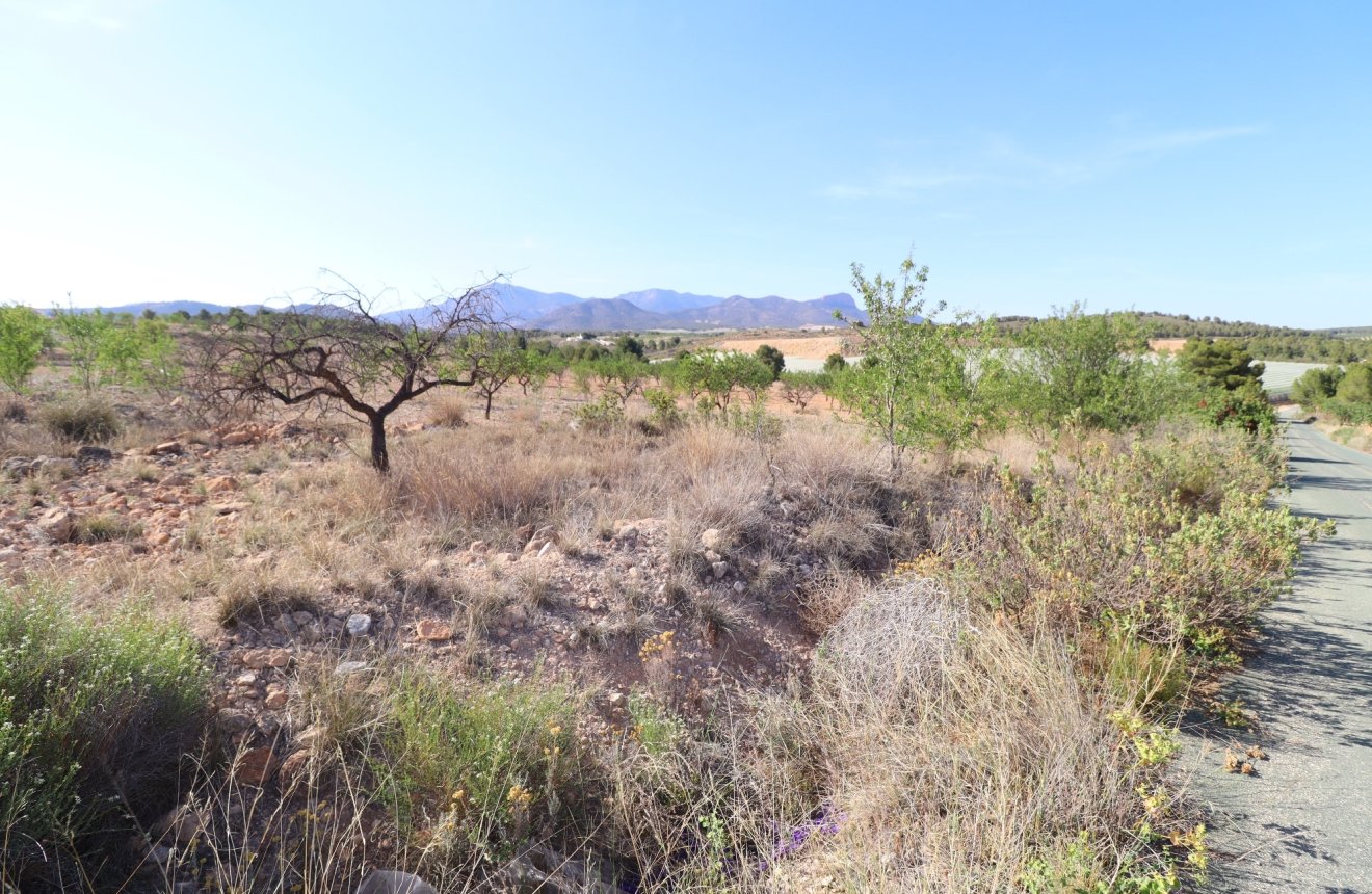 Reventa - Parcela / Terreno -
Zarzadilla De Totana