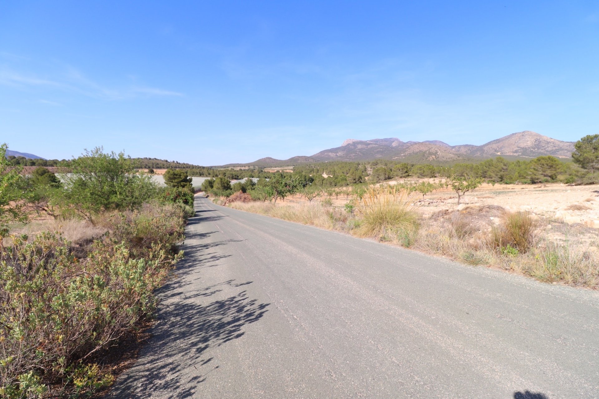 Reventa - Parcela / Terreno -
Zarzadilla De Totana