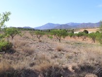 Reventa - Parcela / Terreno -
Zarzadilla De Totana