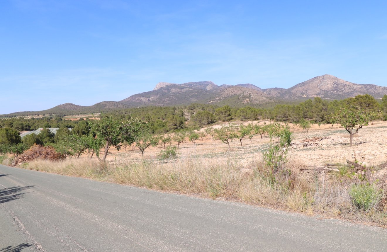 Reventa - Parcela / Terreno -
Zarzadilla De Totana