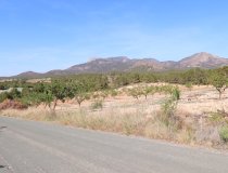 Reventa - Parcela / Terreno -
Zarzadilla De Totana