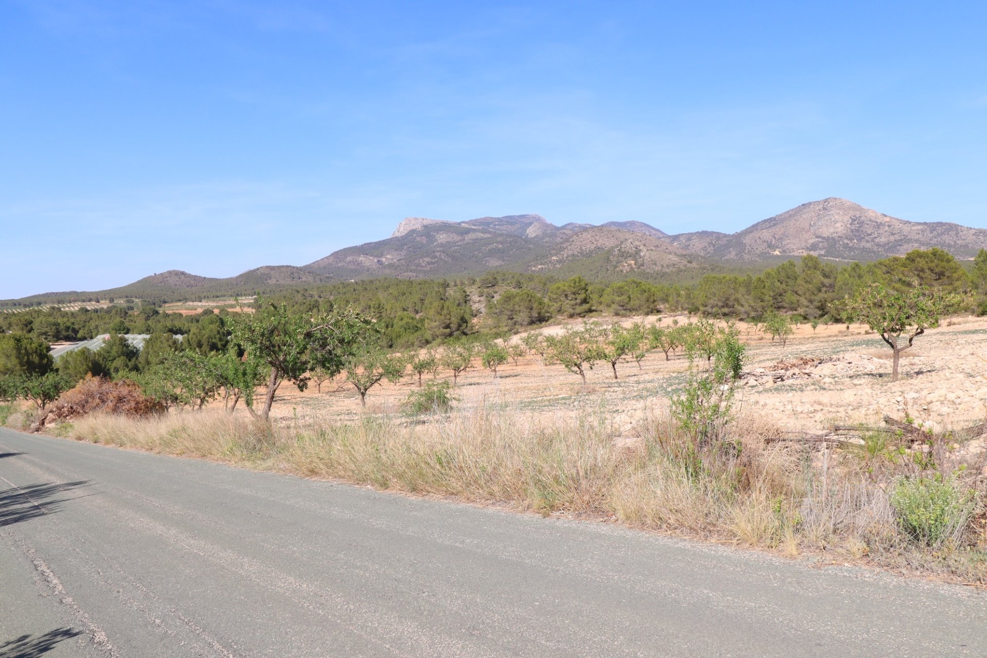 Reventa - Parcela / Terreno -
Zarzadilla De Totana