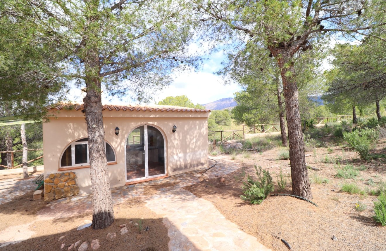 Reventa - Villa -
Aledo