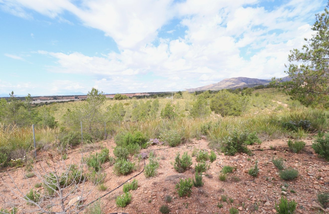 Reventa - Villa -
Aledo