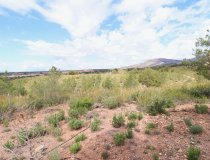 Reventa - Villa -
Aledo