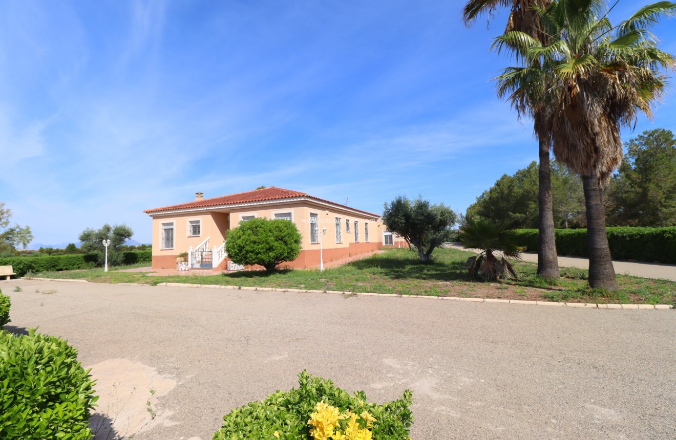 Reventa - Villa -
Lorca