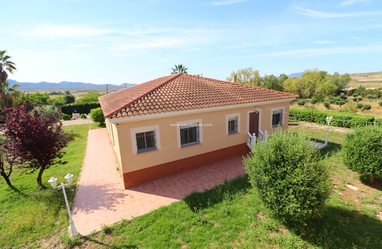 Reventa - Villa -
Lorca